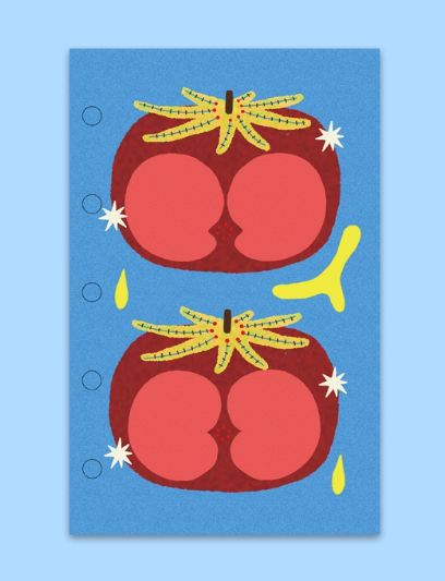 M5 5-Hole Planner Refills - Vibrant Fruit Pattern Replacement Pages for Notebooks