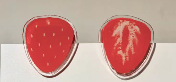 Charm|Acrylic Charm and acrylic clips for journal decoration